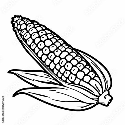 Sweet Corn Ear Outline Vector Illustration with Husks Partially Peeled Back