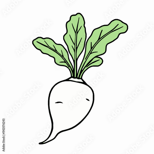  Radish Outline Vector Illustration with Leafy Top and Smooth Texture