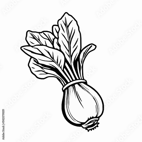  bok choy outline vector illustration with bulbous base and long leafy stalks