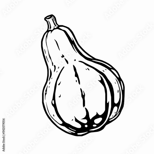 bitter gourd outline vector illustration with elongated shape and bumpy texture