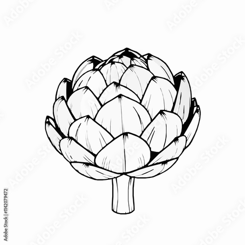 artichoke outline vector illustration with layered leaves and detailed top