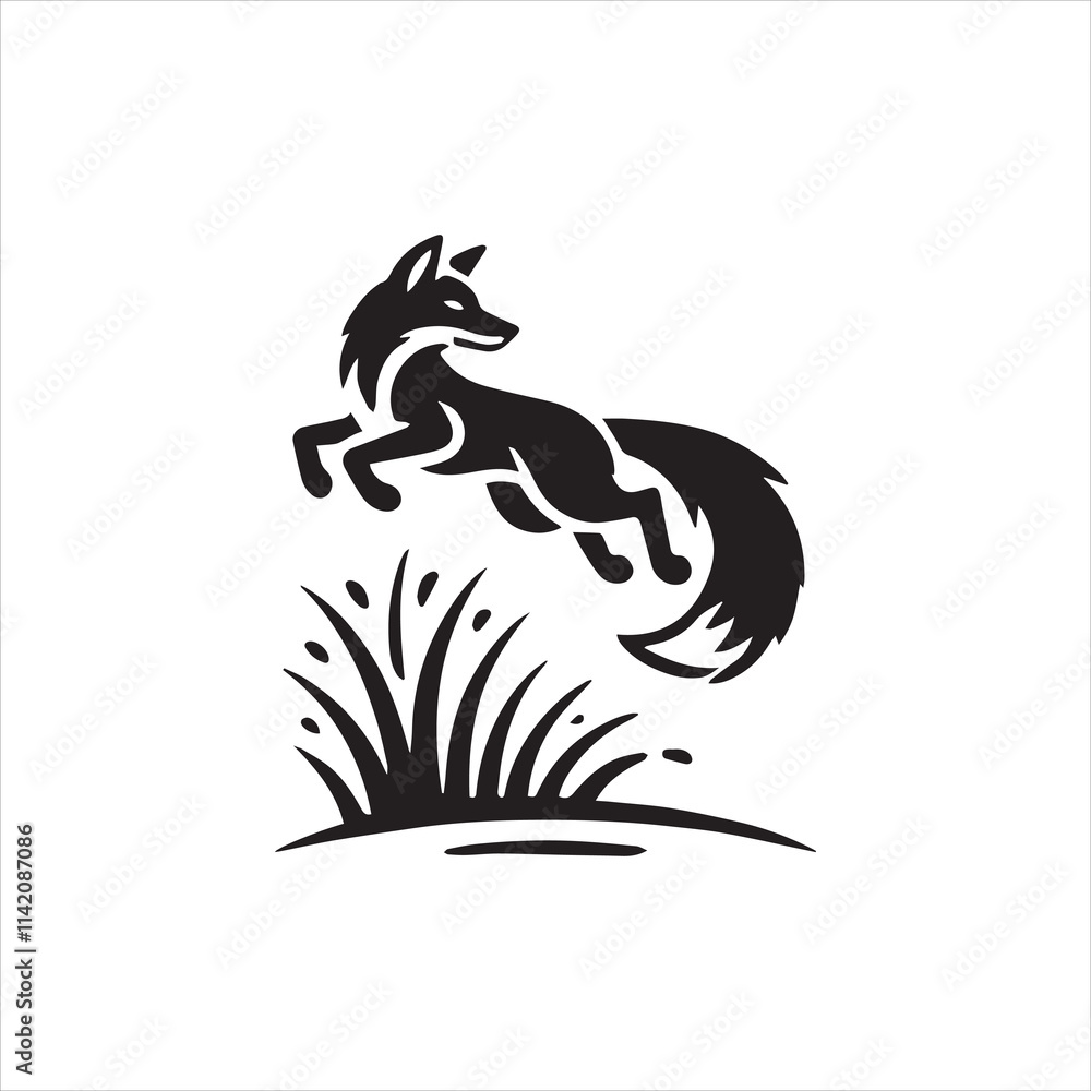 black and white fox black and white fox