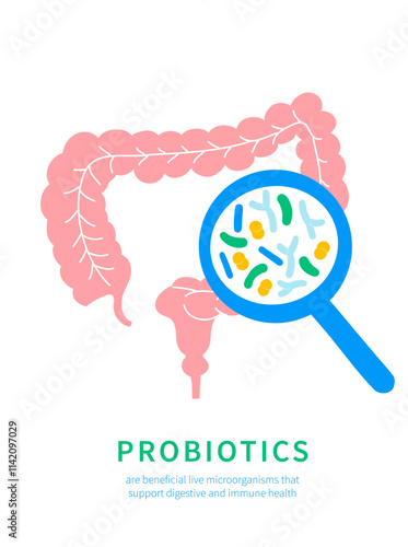 Illustration of Probiotics and Gut Microbiome - Gut Health Support