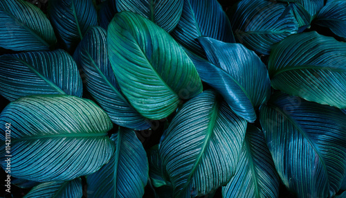 top view fresh green leave texture