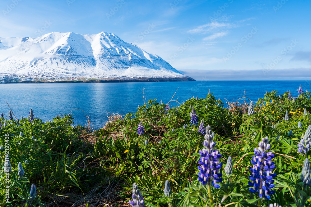 Sommer in den Westfjorden