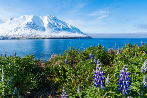Obraz na płótnie Sommer in den Westfjorden w salonie