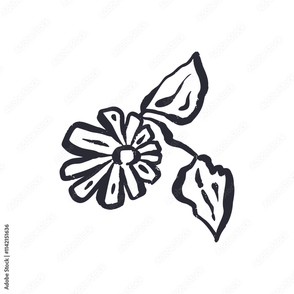 Black and white minimal abstract inky line art flower. Monochrome sketchy textured loose floral doodles. Hand drawn botanical abstraction Black and white minimal abstract inky line art flower. Monochrome sketchy textured loose floral doodles. Hand drawn botanical abstraction