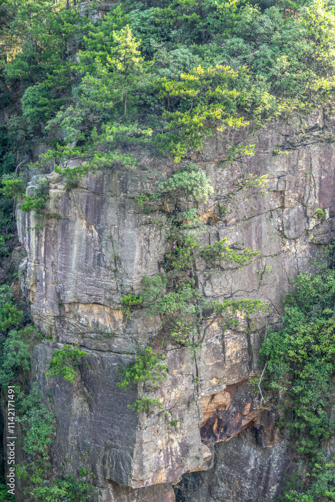 Zhangjiajie scenic area in Hunan Province, China Zhangjiajie scenic area in Hunan Province, China