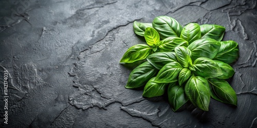 Fresh Basil Leaves on a Dark Stone Surface , basil, earthy tones ,  basil, earthy tones , botanicals photo