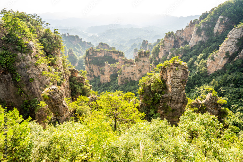 Zhangjiajie scenic area in Hunan Province, China Zhangjiajie scenic area in Hunan Province, China