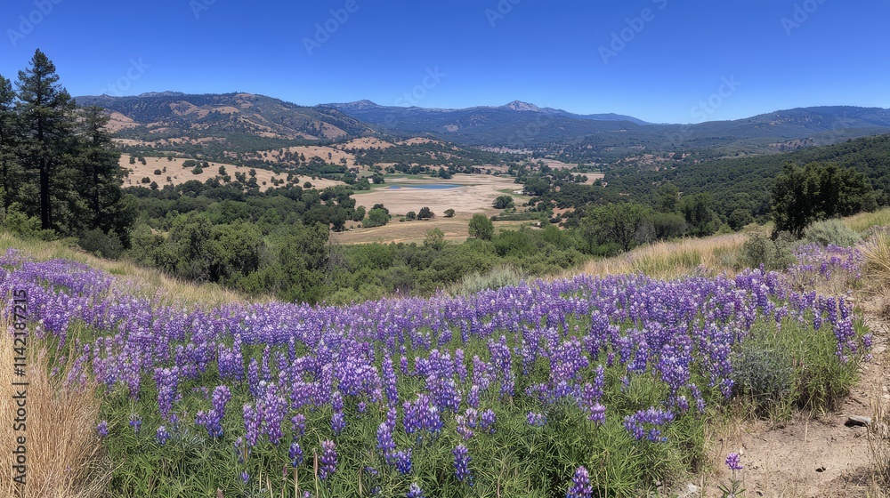Obraz premium Vibrant Purple Wildflowers Overlooking Scenic Mountain Landscape