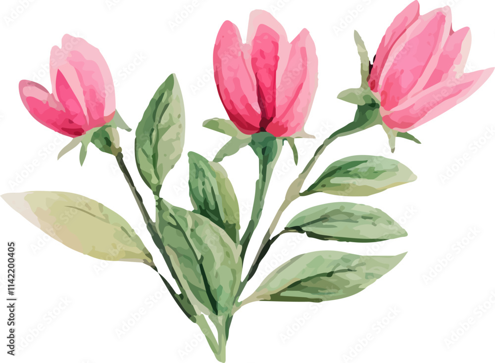 Fototapeta premium bouquet of pink tulips