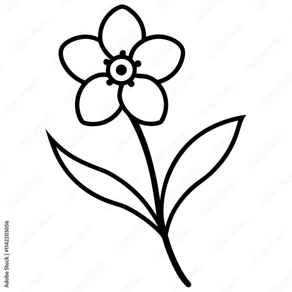 Obraz premium orchid isolated on white