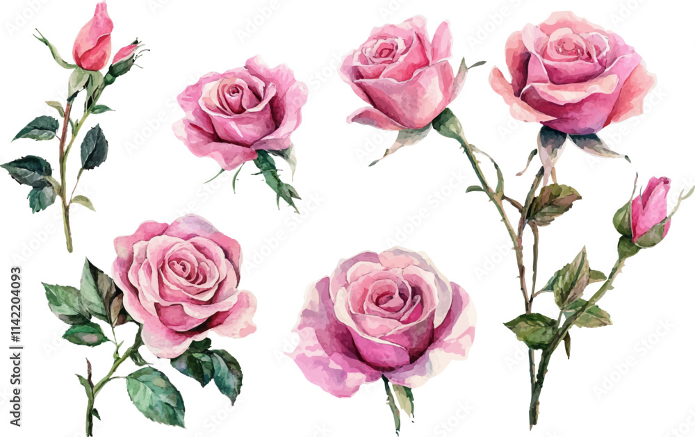 bouquet of roses bouquet of roses