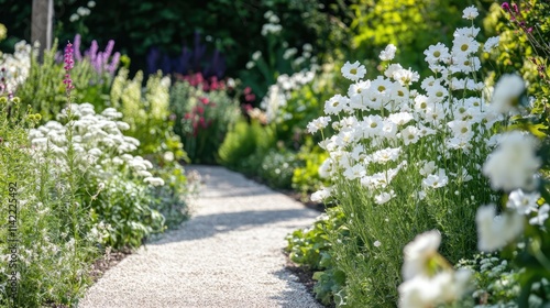 Fototapeta Naklejka Na Ścianę i Meble -  White flowers blooming in a vibrant garden pathway surrounded by lush greenery and colorful blooms in sunlight