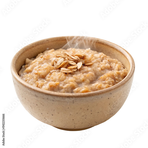 bowl of oatmeal photo