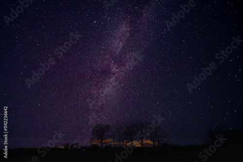 Nocne, bezchmurne niebo.  W środku kadru widoczna jest, jaśniejsza od reszty kadru Droga Mleczna. Na lini horyzontu widać rząd bezlistnych drzew. photo