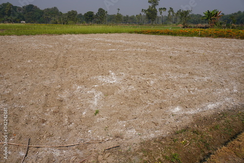 Принти на полотні Saline soil occurs when salt accumulates in the soil, often appearing as white p