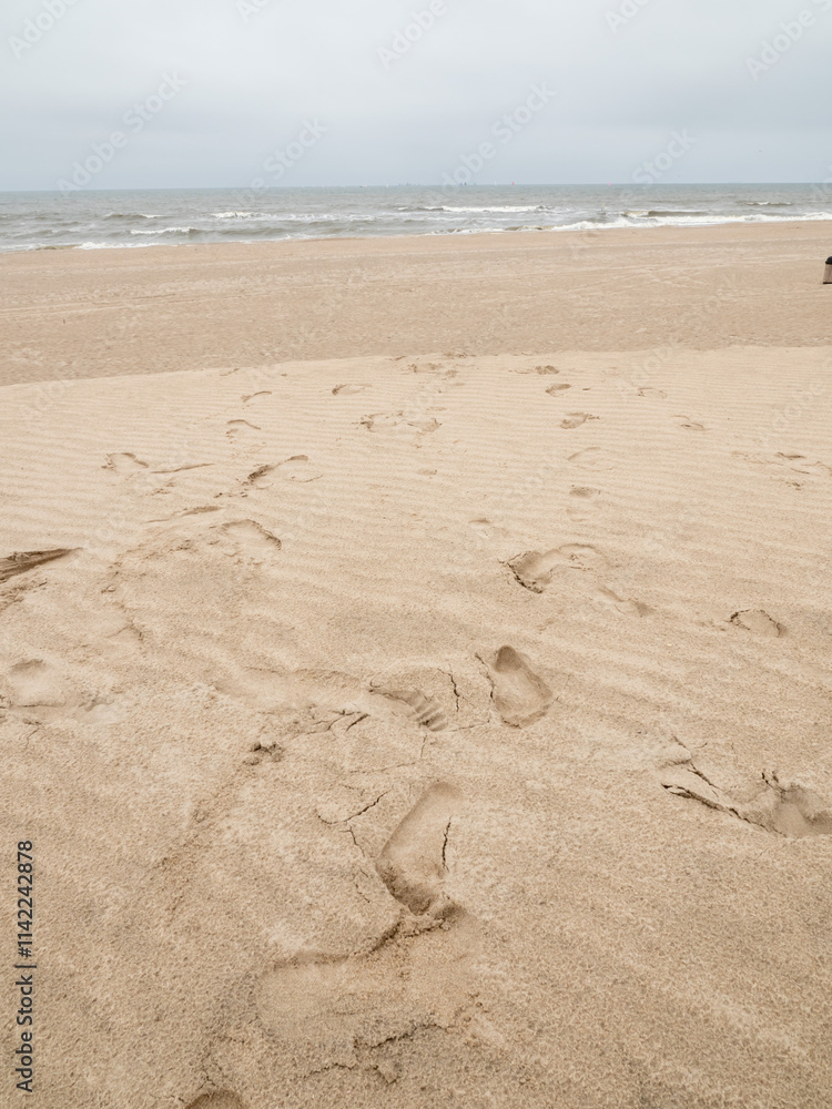 Fresh human footprints on dry sand. Go ahead. Top view. Blank space for text, quotes or sayings. Fresh human footprints on dry sand. Go ahead. Top view. Blank space for text, quotes or sayings.