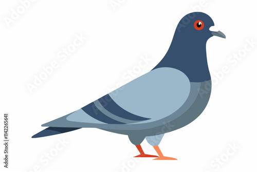 illustration of a pigeon
