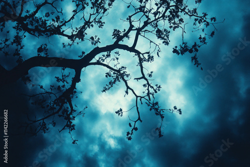 Winter Sky