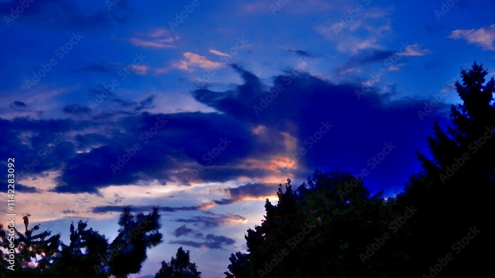 Colorful abstract illuminated evening sky with clouds and black branches trees on windy weather - composition in blue, orange and pink colors. Topics: weather, climate, atmosphere, meteorology Colorful abstract illuminated evening sky with clouds and black branches trees on windy weather - composition in blue, orange and pink colors. Topics: weather, climate, atmosphere, meteorology
