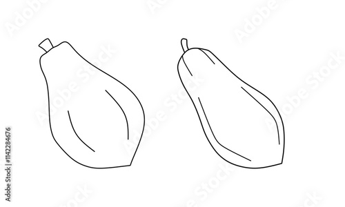 papaya fruit outline vector illustration