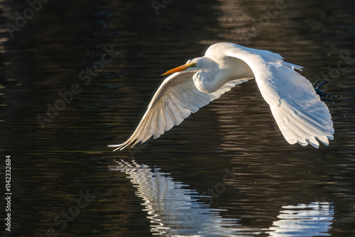 A great egret flying over a lake
