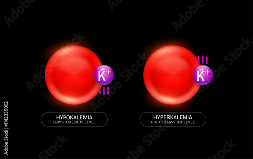 Potassium in red blood cells with up down arrows on black background. Low high level of minerals and vitamins in the body is an electrolyte disorder. Medical science concept. Vector EPS10.