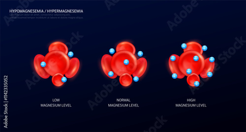 Hypermagnesemia is an electrolyte disorder. Magnesium in red blood cells on black background. Balance level of minerals and vitamins in the body. Medical science concept. Vector EPS10.