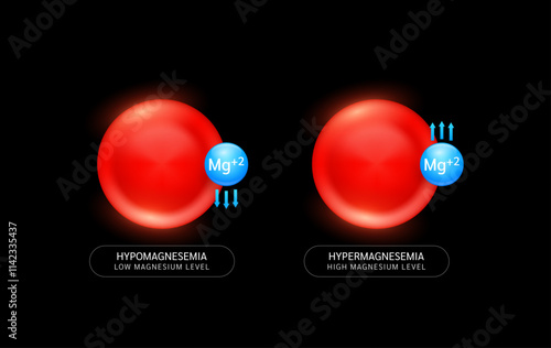 Magnesium in red blood cells with up down arrows on black background. Low high level of minerals and vitamins in the body is an electrolyte disorder. Medical science concept. Vector EPS10.