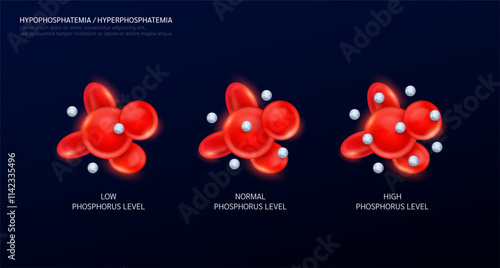 Hyperphosphatemia is an electrolyte disorder. Phosphorus in red blood cells on black background. Balance level of minerals and vitamins in the body. Medical science concept. Vector EPS10.