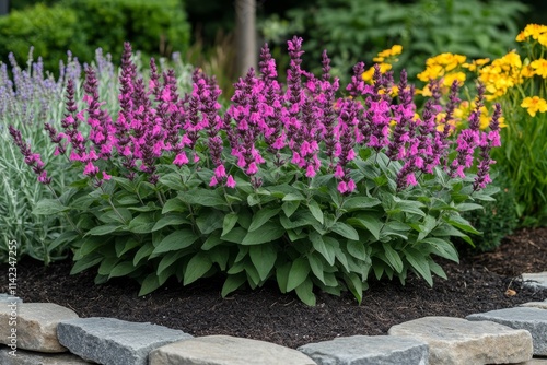 Wallpaper Mural Scarlet sage - Salvia splendens Vista Red blooming in the garden bed, Generative AI Torontodigital.ca