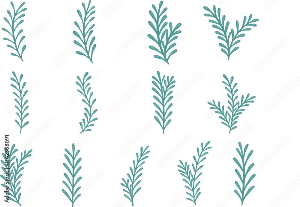 Brunch of fern leaves or seaweed illustration for decoration on tropical plant and nature concept. Brunch of fern leaves or seaweed illustration for decoration on tropical plant and nature concept.