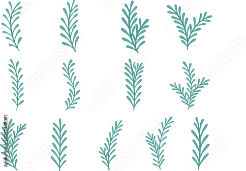 Brunch of fern leaves or seaweed illustration for decoration on tropical plant and nature concept.