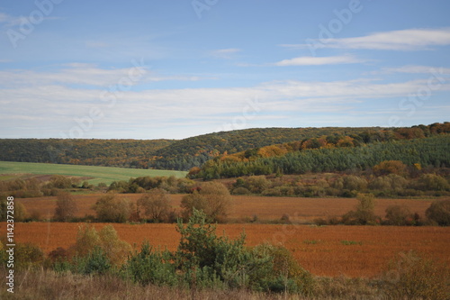 Autumn countryside landscape, forest in autumn colors