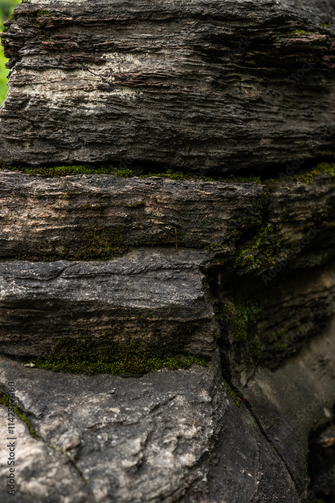 Layered Rock Formation With Moss And Green Patterns Layered Rock Formation With Moss And Green Patterns