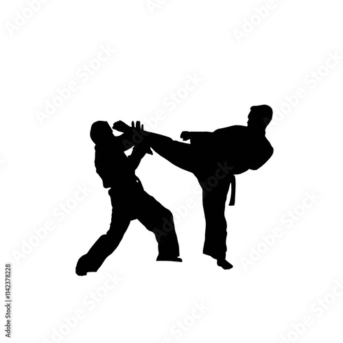silhouette of martial art 