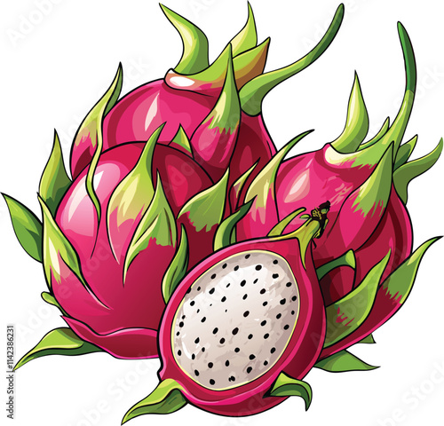 vector illustration of dragon fruits 