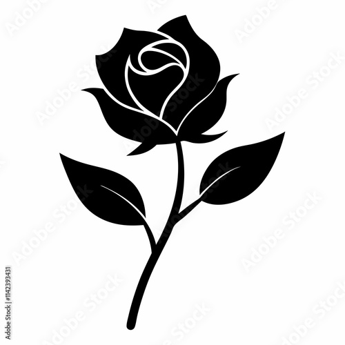 black rose isolated on white