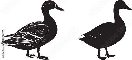 A set of Duck silouette vecror art illustrations.