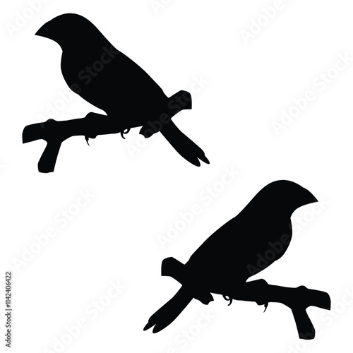 Bird Silhouette, Bird Vector Silhouette, Bird cartoon Silhouette, Bird illustration, Bird icon Silhouette, Bird Silhouette illustration