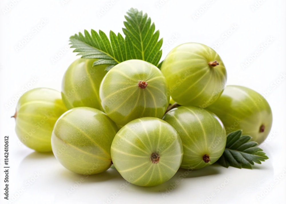 Amla Fruit Group Isolated, Minimalist Photography, Indian Gooseberry, Phyllanthus Emblica, Botanical Illustration, Clean Background, Studio Shot, Health Food, Natural Remedy Amla Fruit Group Isolated, Minimalist Photography, Indian Gooseberry, Phyllanthus Emblica, Botanical Illustration, Clean Background, Studio Shot, Health Food, Natural Remedy