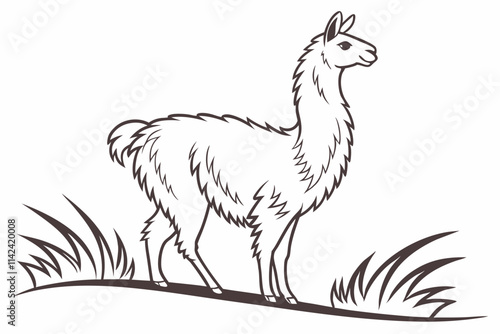 Alpaca Standing, A fluffy alpaca with a long neck and soft lines vector silhouette on a white background