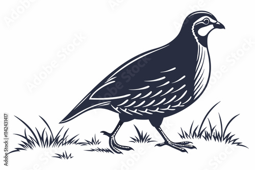 Partridge A plump bird standing, ideal for game farms vector silhouette on a white background photo