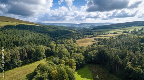 Lush green forest landscape under a bright sky with rolling hills and expansive valleys showcasing natural beauty and tranquility photo