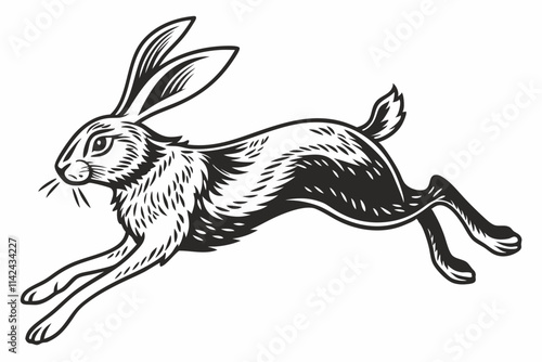 A bunny mid-jump with outstretched legs vector silhouette on a white background photo