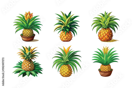 vector of Pineapple Plant (Ananas comosus) design, labeled vector art, linocut silhouette illustration.