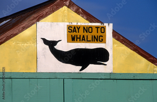 Pancarte non à la chasse à la baleine; Port Stanley; Iles Falkland photo