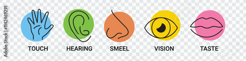 Five Human Senses Icons | Editable Stroke Outline Design